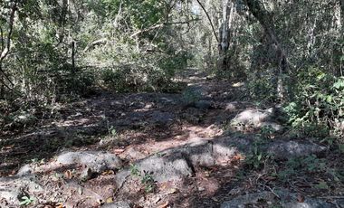Terreno con cenote en Venta en XTUT, Valladolid Yucatán