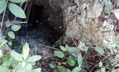 Terreno con cenote en Venta en XTUT, Valladolid Yucatán
