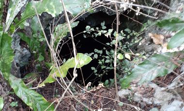Terreno con cenote en Venta en XTUT, Valladolid Yucatán