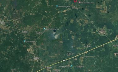Terreno con cenote en Venta en XTUT, Valladolid Yucatán