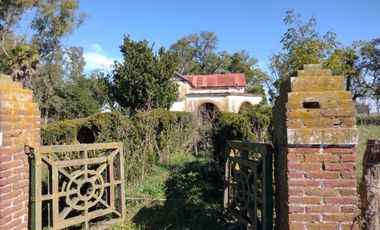 Excelente chacra a la venta en Coronel Vidal
