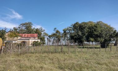 Excelente chacra a la venta en Coronel Vidal