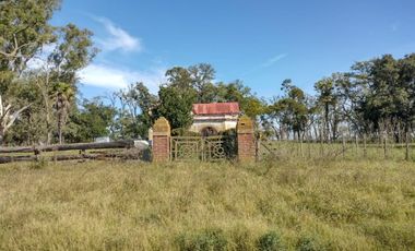 Excelente chacra a la venta en Coronel Vidal