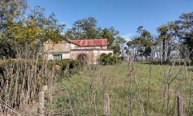 Excelente chacra a la venta en Coronel Vidal