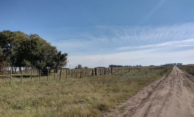 Excelente chacra a la venta en Coronel Vidal
