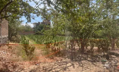 Terreno en venta en San Martín de las Flores de Abajo, San Pedro Tlaquepaque, Jalisco