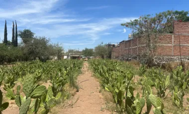 Terreno en venta en San Martín de las Flores de Abajo, San Pedro Tlaquepaque, Jalisco