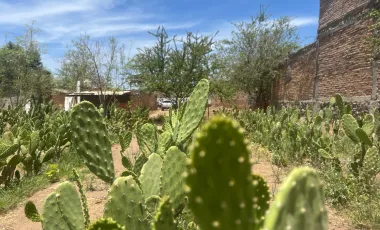 Terreno en venta en San Martín de las Flores de Abajo, San Pedro Tlaquepaque, Jalisco