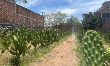 Terreno en venta en San Martín de las Flores de Abajo, San Pedro Tlaquepaque, Jalisco