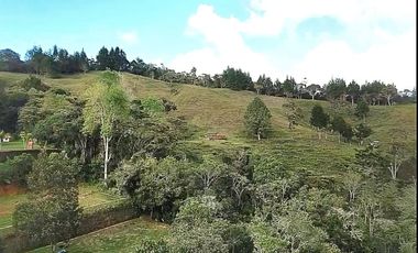 Finca en Venta Ubicado en Guarne Codigo 2049
