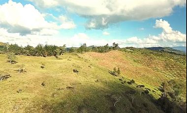Finca en Venta Ubicado en Guarne Codigo 2049