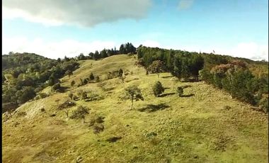 Finca en Venta Ubicado en Guarne Codigo 2049