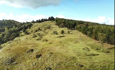 Finca en Venta Ubicado en Guarne Codigo 2049