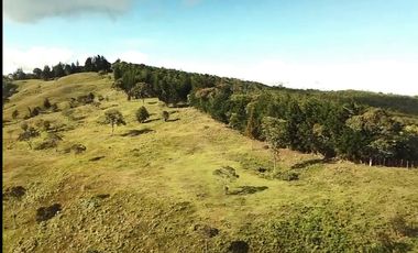Finca en Venta Ubicado en Guarne Codigo 2049
