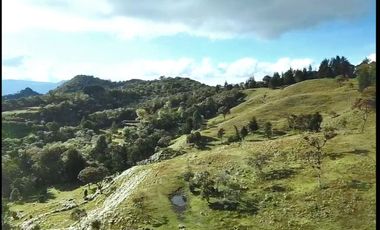 Finca en Venta Ubicado en Guarne Codigo 2049