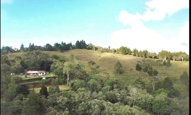 Finca en Venta Ubicado en Guarne Codigo 2049