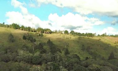 Finca en Venta Ubicado en Guarne Codigo 2049