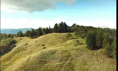Finca en Venta Ubicado en Guarne Codigo 2049