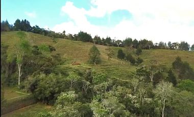 Finca en Venta Ubicado en Guarne Codigo 2049