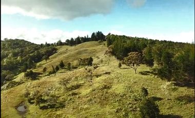 Finca en Venta Ubicado en Guarne Codigo 2049