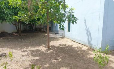 FOR SELL House Pruksakan 11  CX-120782