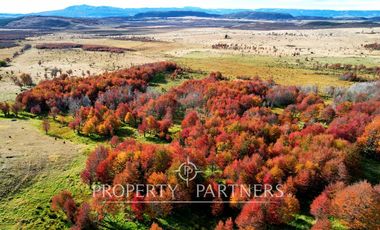 Patagonia, Maravilloso campos 86.55ha Vista Hermosa