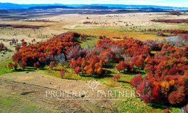 Patagonia, Maravilloso campos 86.55ha Vista Hermosa