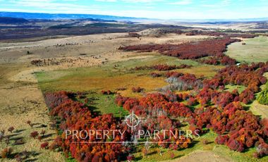 Patagonia, Maravilloso campos 86.55ha Vista Hermosa