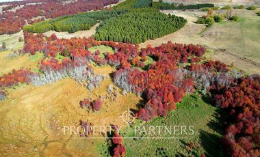 Patagonia, Maravilloso campos 86.55ha Vista Hermosa