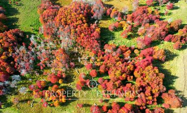 Patagonia, Maravilloso campos 86.55ha Vista Hermosa