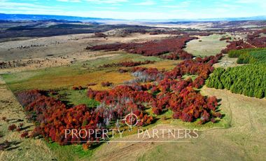 Patagonia, Maravilloso campos 86.55ha Vista Hermosa