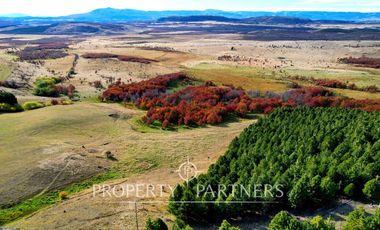 Patagonia, Maravilloso campos 86.55ha Vista Hermosa
