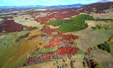 Patagonia, Maravilloso campos 86.55ha Vista Hermosa