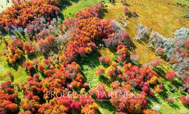 Patagonia, Maravilloso campos 86.55ha Vista Hermosa