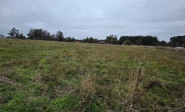 Parcela en Venta en Cruce Longitudinal (Chifca) - Maile - Trafún