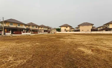 Land for sale at Cattleya Village