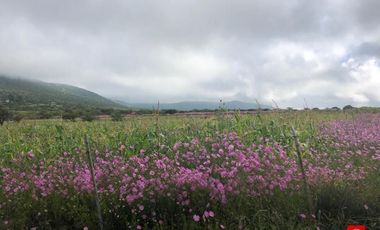 TERRENO EN VENTA EN SANTA ROSA JAUREGUI, FRACCIÓN EN EL  POTRERO LLANO DE LA ROCHERA, QUERÉTARO