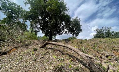 Venta de lote en Minca con Rio en Santa Marta. Colombia.