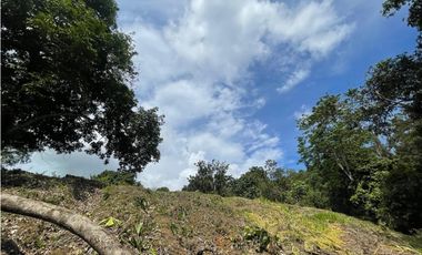 Venta de lote en Minca con Rio en Santa Marta. Colombia.