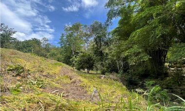 Venta de lote en Minca con Rio en Santa Marta. Colombia.
