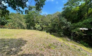 Venta de lote en Minca con Rio en Santa Marta. Colombia.