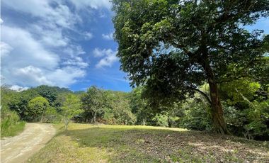 Venta de lote en Minca con Rio en Santa Marta. Colombia.