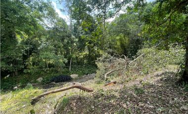 Venta de lote en Minca con Rio en Santa Marta. Colombia.