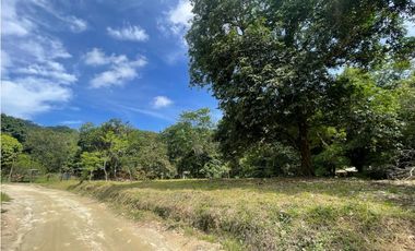 Venta de lote en Minca con Rio en Santa Marta. Colombia.