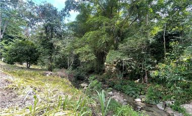 Venta de lote en Minca con Rio en Santa Marta. Colombia.