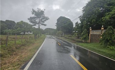 Finca en venta  de 3.5 Has en Penonomé (DR)