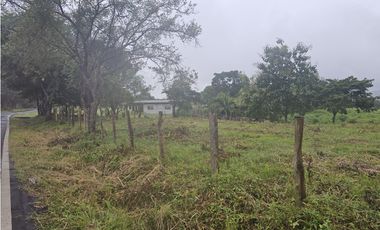 Finca en venta  de 3.5 Has en Penonomé (DR)