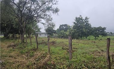 Finca en venta  de 3.5 Has en Penonomé (DR)