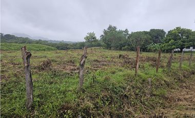 Finca en venta  de 3.5 Has en Penonomé (DR)