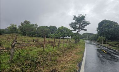 Finca en venta  de 3.5 Has en Penonomé (DR)